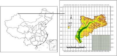 Patterns and drivers of tree species diversity in a coniferous forest of northwest China